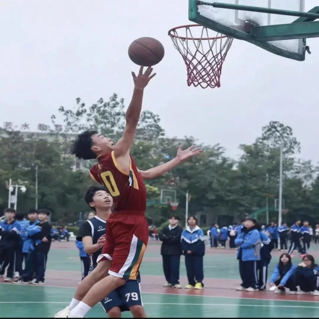 狼队春季赛全面解析：新阵容与亮眼表现
